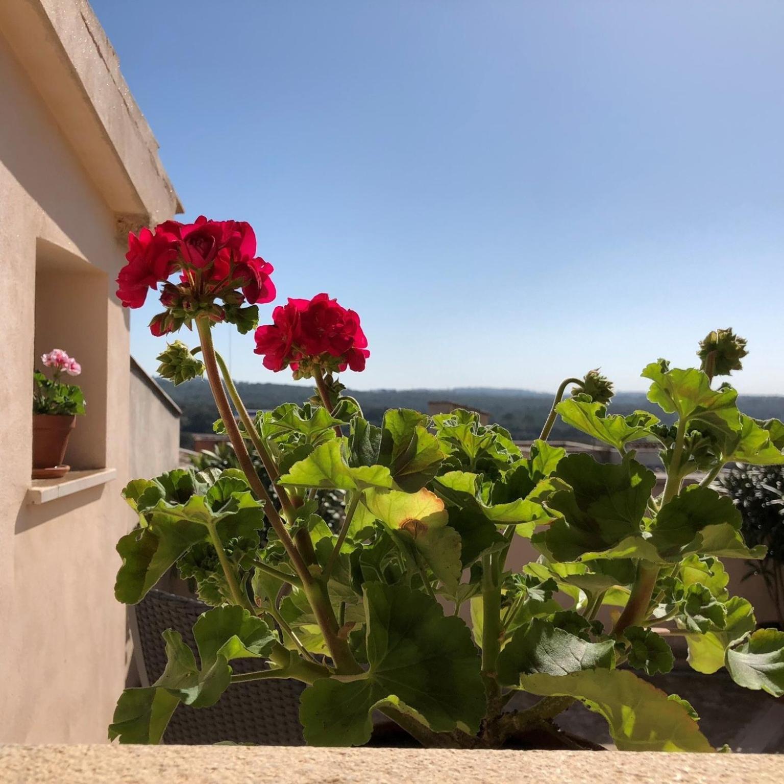 Vista De La - Turismo De Interior. Frühstückspension